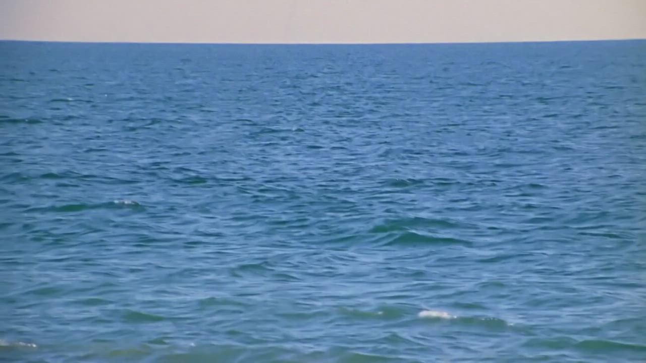 Pamela Anderson Crawling on a Beach - 1993